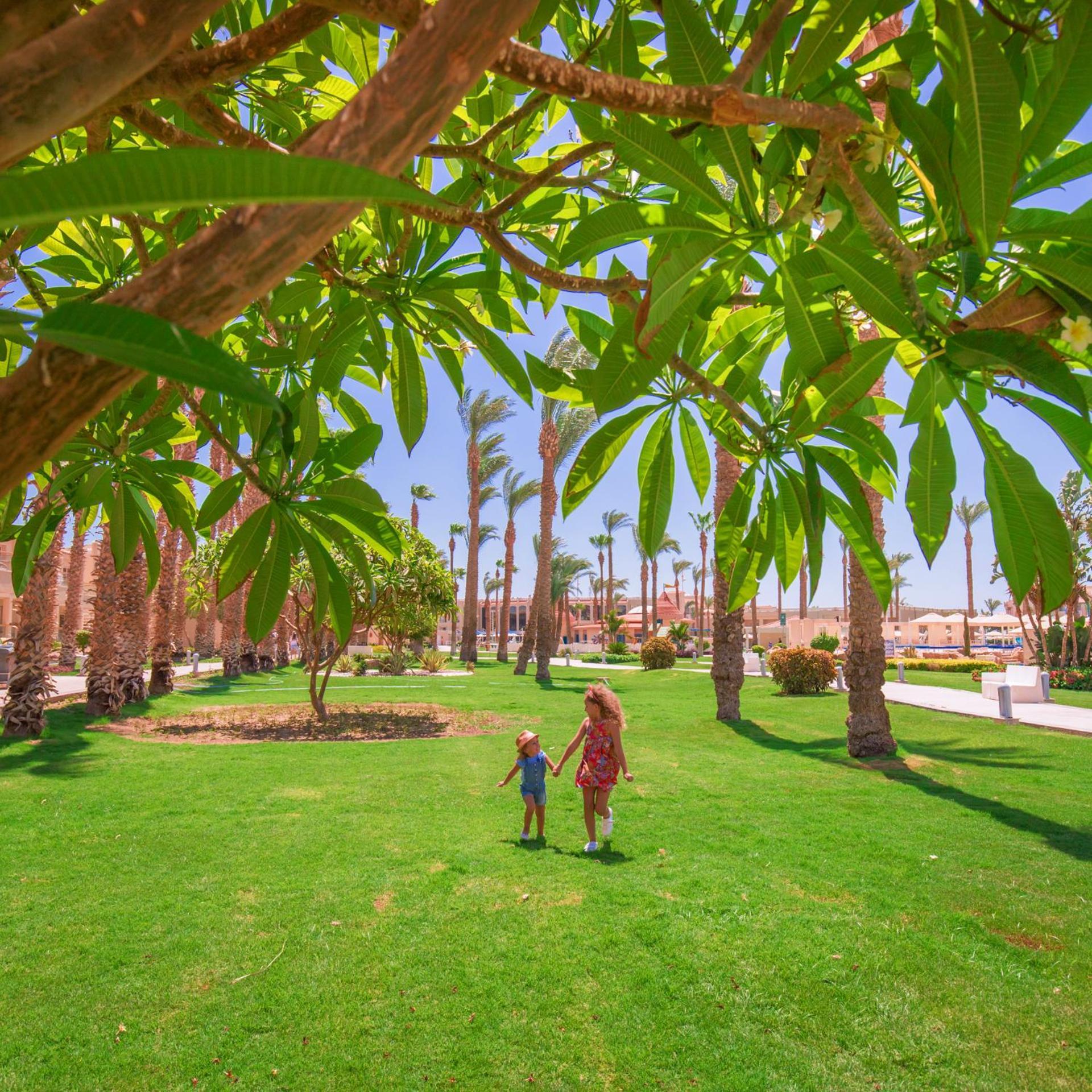 Albatros The Club - Aqua Park Resort 4*